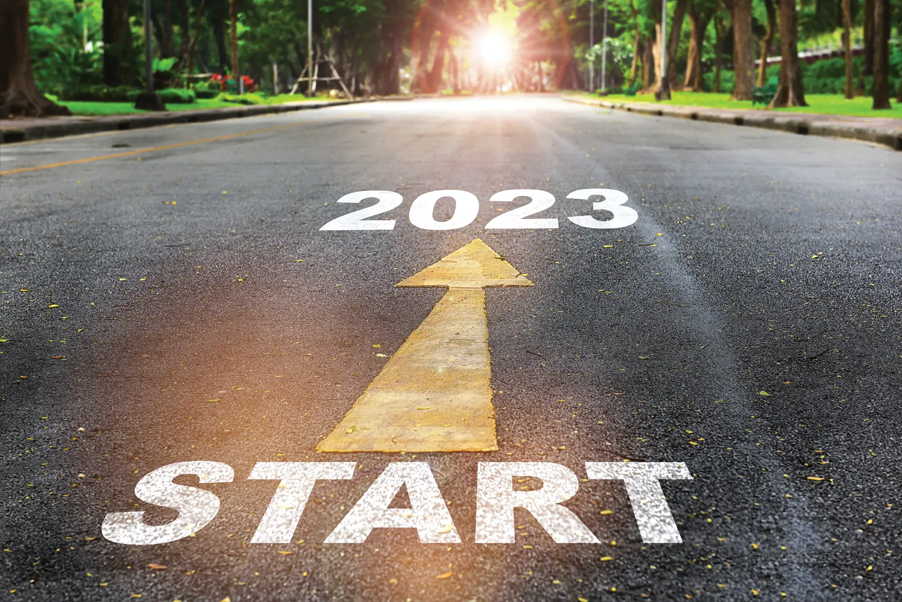 Start To 2023 Written On The Road On Nature Background With Sunlight