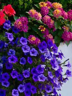Spring Floral Design