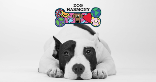 dog harmony logo