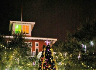 12 Nights Of Light