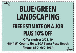 Blue Green February 2019 Low Res