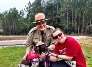 Bark Ranger