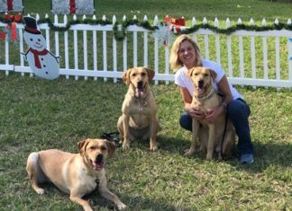 K9 Liberty With Board Member Carrie Fry. Liberty Is The Mother Of The Two Dogs From Our Bred For Purpose Program (sadie Mae And Lucy)