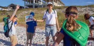 Vba Beach Walks Coming June 1sst