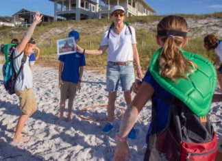 Vba Beach Walks Coming June 1sst
