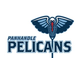 Pelicans
