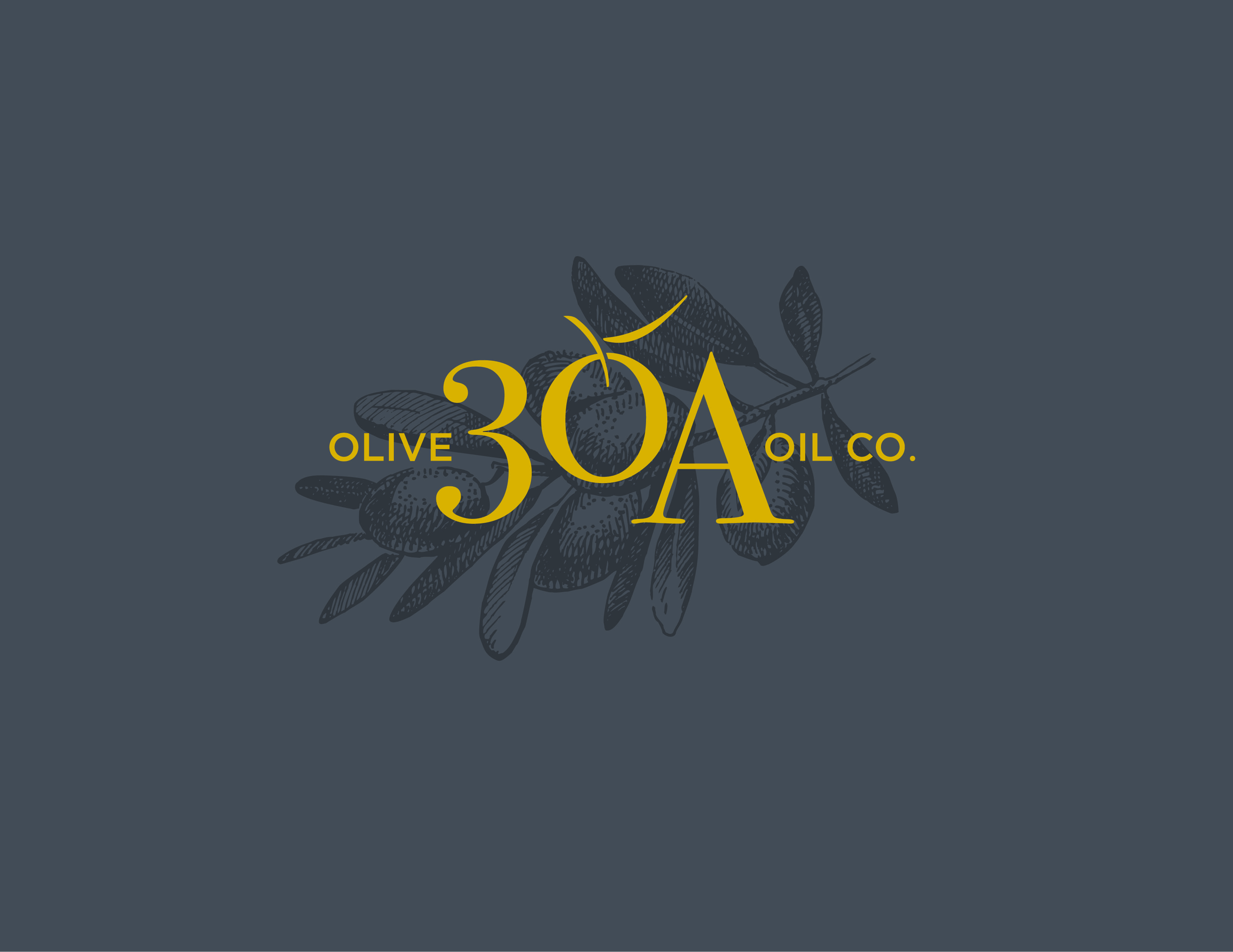 30A Olive Oil Co Grand Opening Open House June 27th