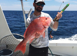 Garcia Snapper
