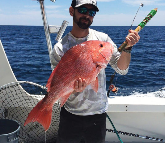 Garcia Snapper