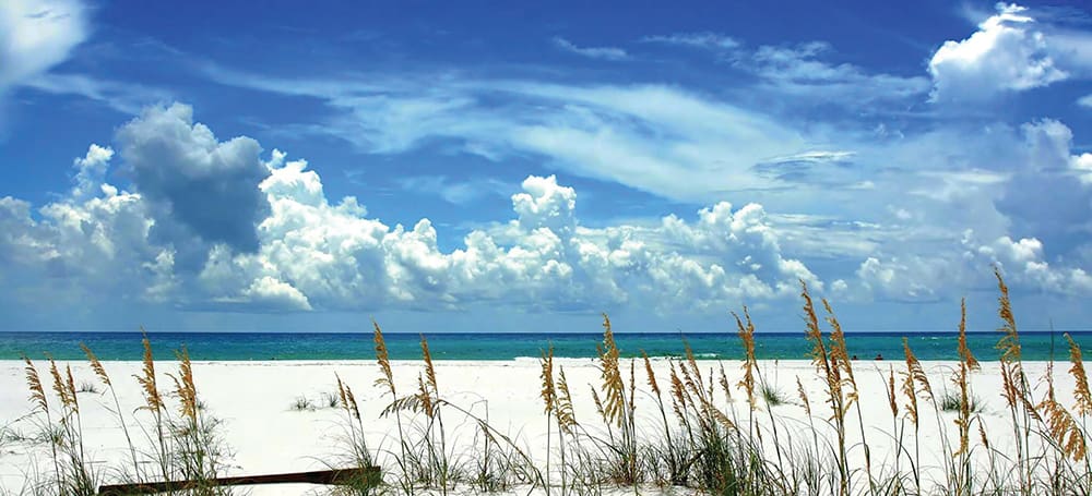 Vote for Your Favorites in the 2023 Perfect in Walton County Awards! 