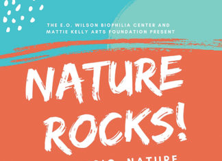 Nature Rocks Image 6 22 19 At 9.26 Pm
