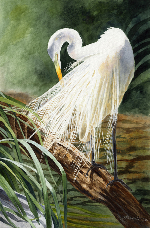 Longsharoneleganceinwhite22x15