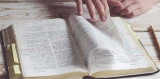 Bible Study