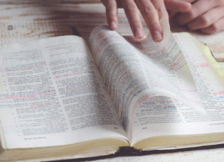 Bible Study