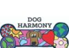 Dog Harmony(1)