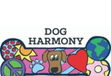 Dog Harmony(1)