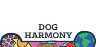 Dog Harmony(1)