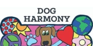Dog Harmony