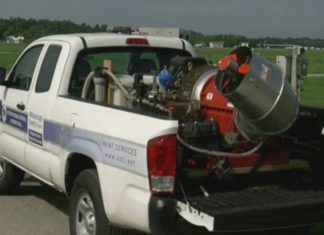 Mosquito Control