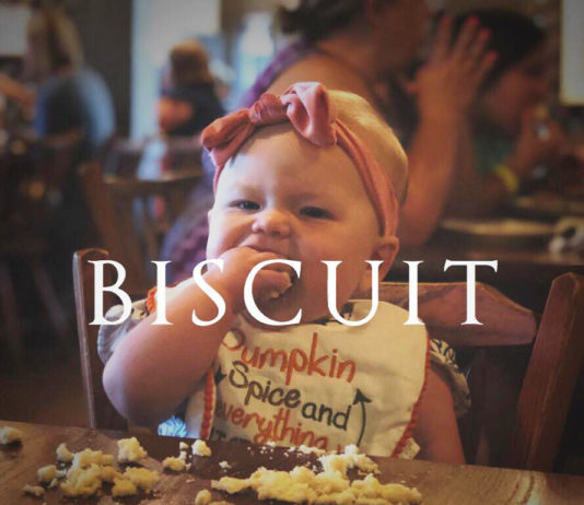 Sean Dietrich Biscuit