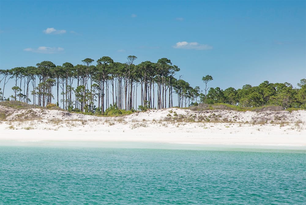 Visit South Walton’s ‘Perfect Awards’ Promotes Local Businesses