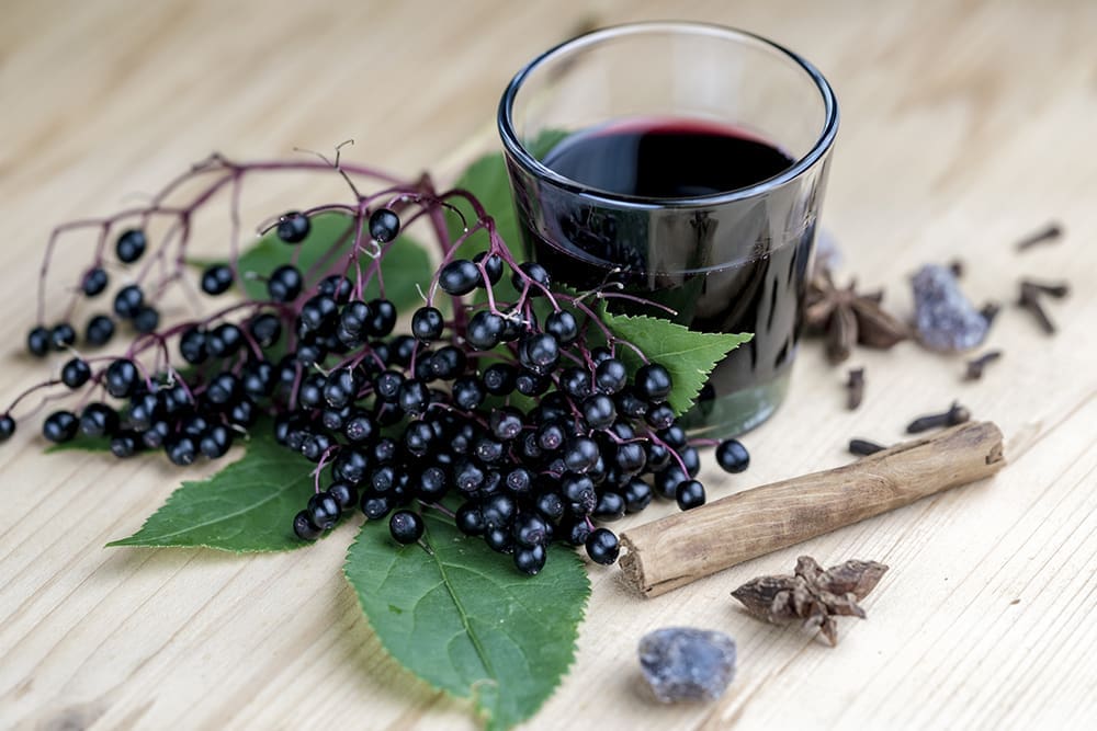Glass Of Fresh Elderberry Syrup With Ingredients