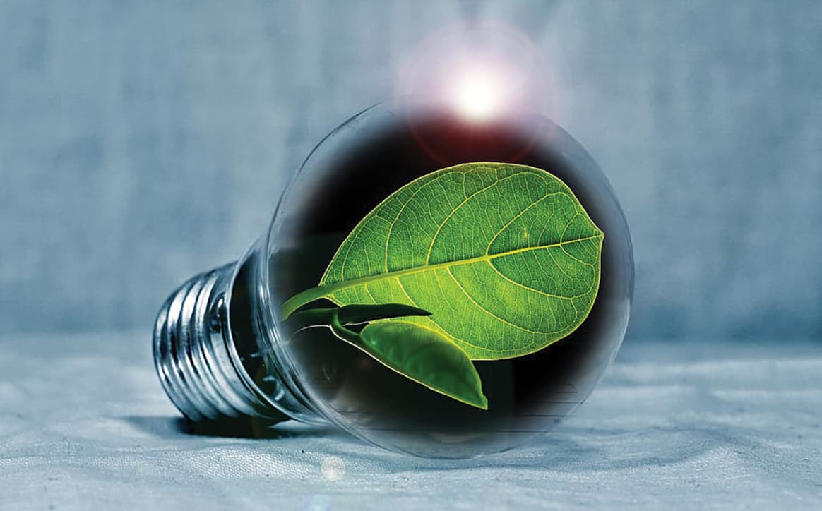 Energy Savings Light Bulb W Leaf