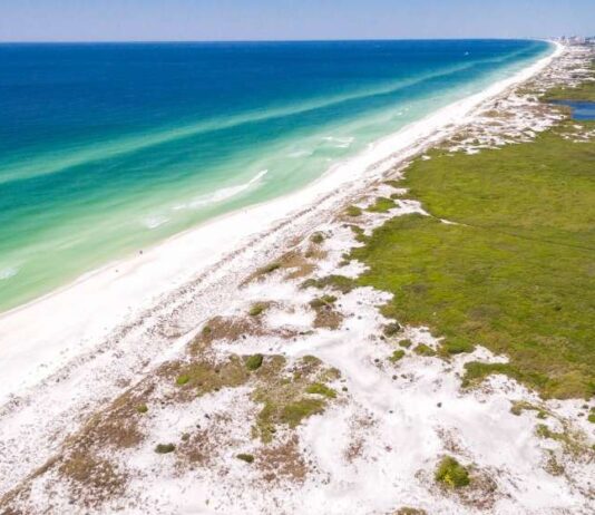 Free Day Use Admission To State Parks