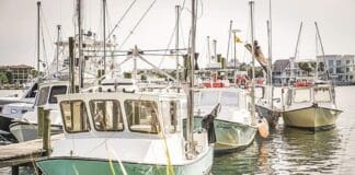 Harbor 2