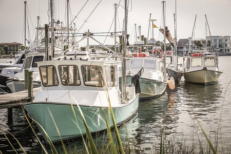 Harbor 2