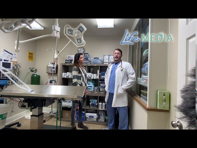 Life Media Interviews Destin ER Veterinarian