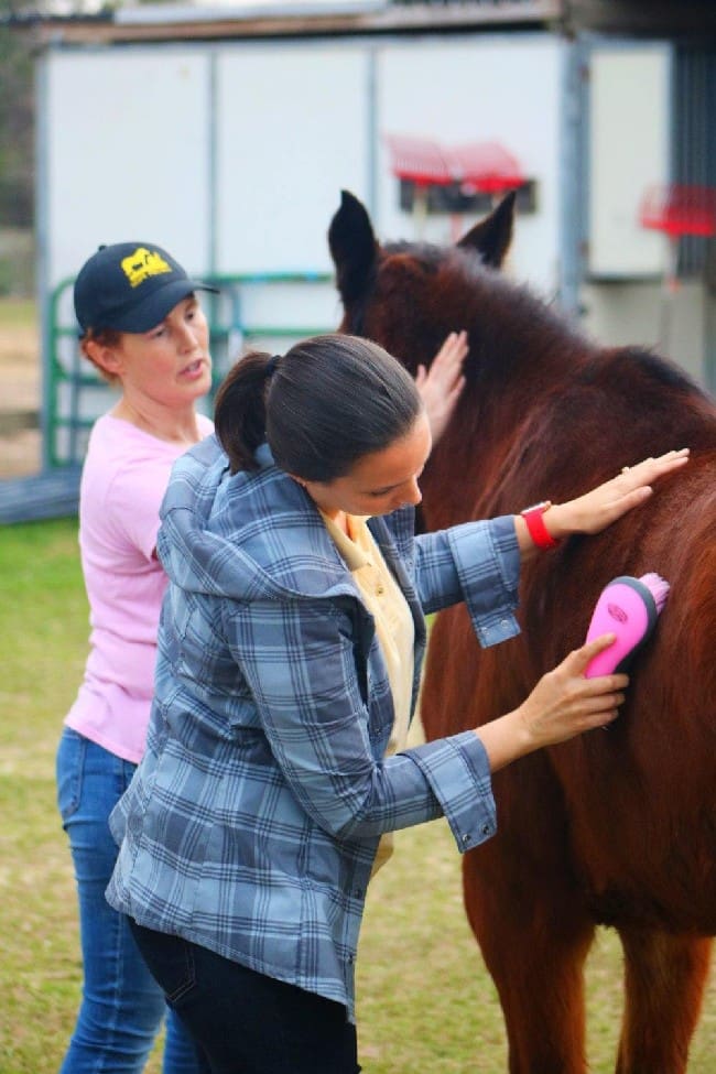 Giving HOPE to Humanity and Horses