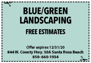 Sowal Dec 2020 Coupons Blue Green