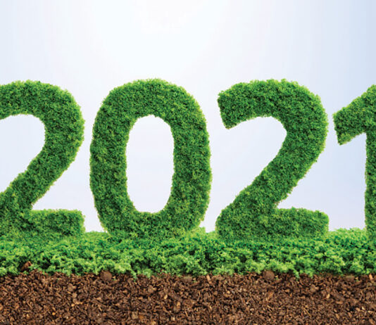 2021 Green Ecology Year Concept