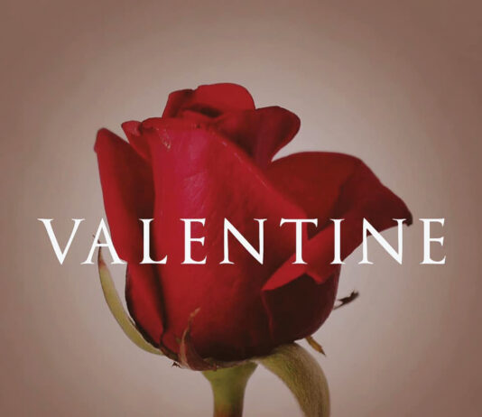 Sean Dietrich Valentine