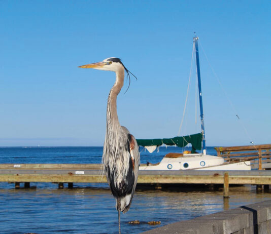 Bay2