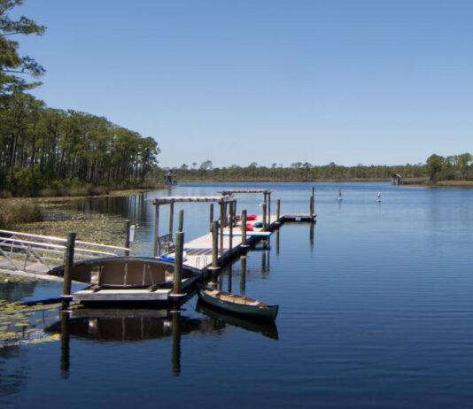 Coastal Dune Lake