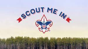 Bsa