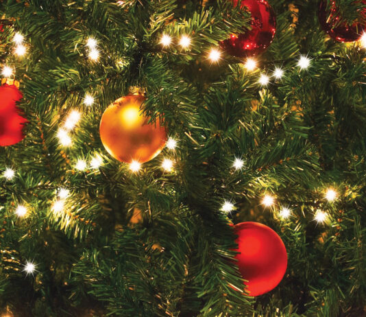 Christmas Tree Lights