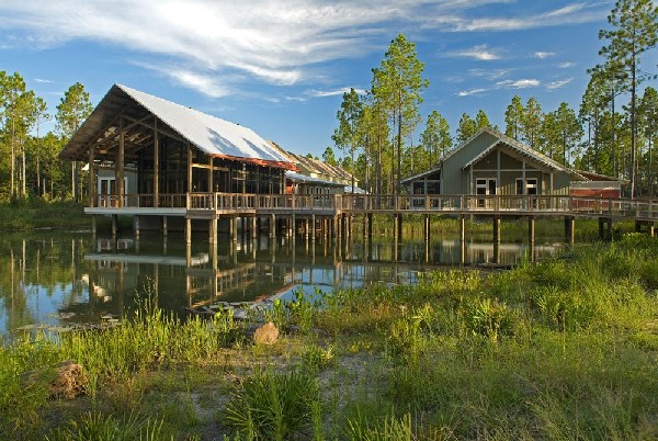 1000 Eo Wilson Biophelia Center