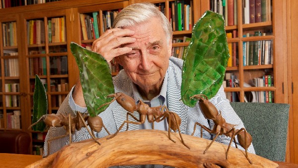 Eo Wilson