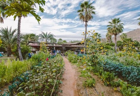 Flora Farms