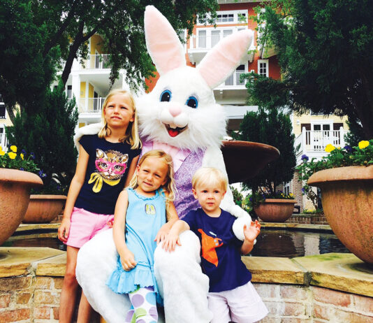 Baytowne Bunny