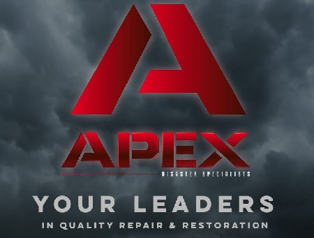 Apex Logo Leaders