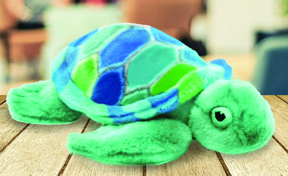 ‘Theo’ of South Walton Raises $50,000 for Friends of South Walton Sea Turtles