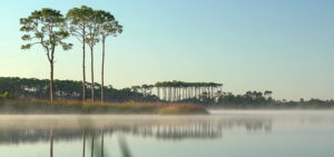 Scenic Walton Lake