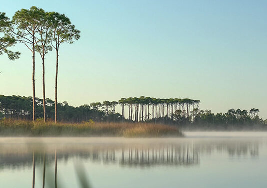 Scenic Walton Lake