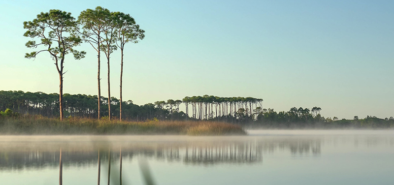 Walton County Seeks Community Input on Growth and Development
