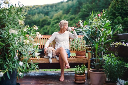 Coffee and Dogs