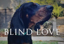 Sean Dietrich Blind Love